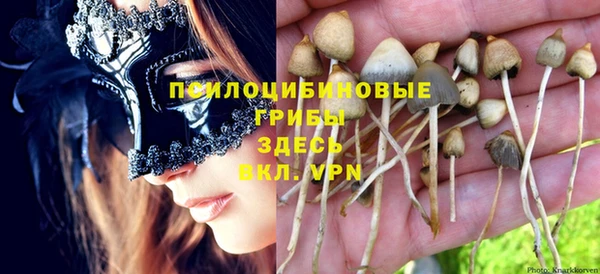 скорость Баксан