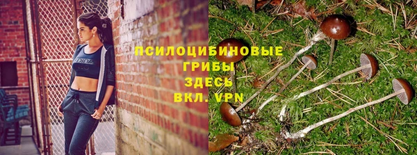 скорость Баксан