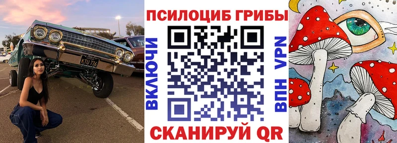 kraken tor  Иланский  Галлюциногенные грибы прущие грибы 